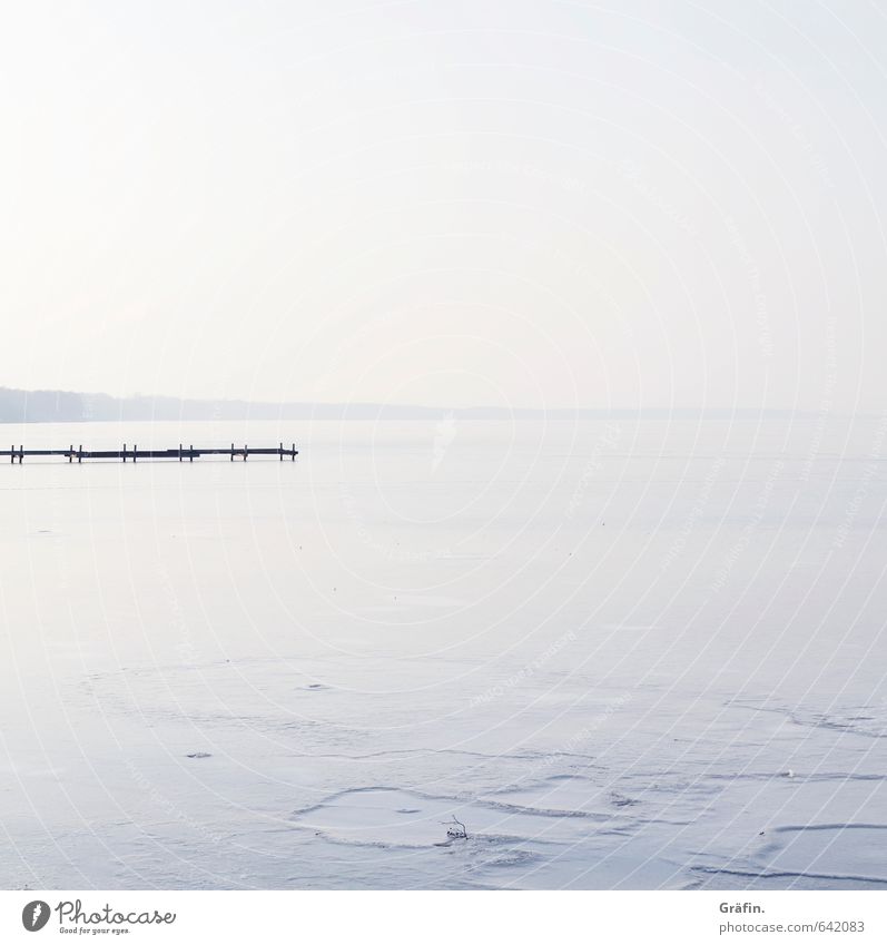 Das Bißchen Winter Umwelt Landschaft Wasser Wolkenloser Himmel Horizont Schönes Wetter Eis Frost Seeufer Steinhuder Meer Menschenleer frieren Unendlichkeit blau