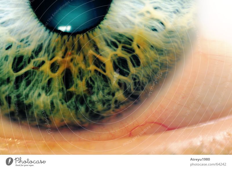 ..augenblick Pupille grün glänzend Makroaufnahme Reflexion & Spiegelung Gefäße blind Gesundheitswesen Auge Regenbogenhaut Detailaufnahme eye Blick atreyu