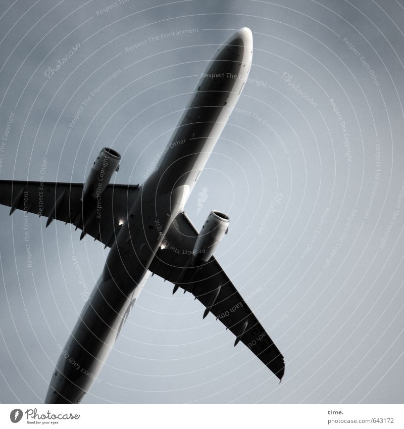 Touristenschleuder Luftverkehr Ferien & Urlaub & Reisen Tourismus Himmel Wolken Flugzeug Passagierflugzeug Metall Stahl fliegen bedrohlich groß hoch Bewegung