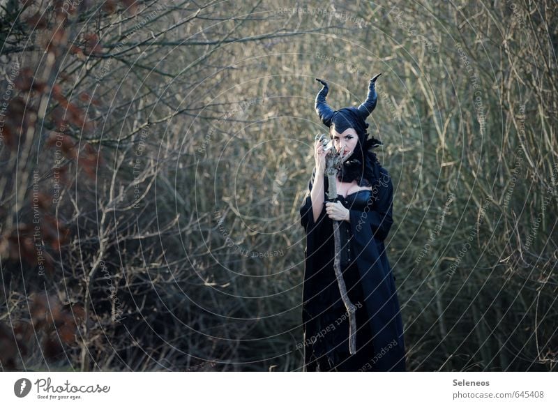 Maleficent Karneval Halloween Mensch feminin Frau Erwachsene Rockabilly Natur Herbst Winter Wald Hut listig Märchen Märchenwald Hexe Fee Horn Teufelshörner