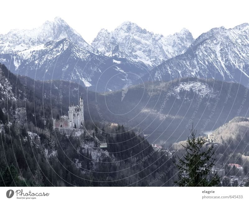 Schloss Neuschwanstein in den Alpen Ferien & Urlaub & Reisen Tourismus Sightseeing Winter Berge u. Gebirge Natur Landschaft Felsen Allgäuer Alpen Bundesadler
