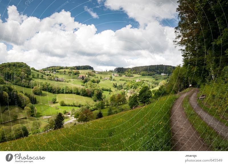 Hinterland Tourismus Ausflug Natur Landschaft Himmel Wolken Sommer Schönes Wetter Baum Wiese Wald Hügel Wege & Pfade Erholung einfach natürlich schön Stimmung