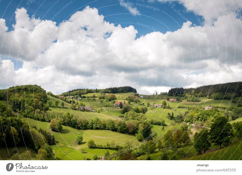 Mittelgebirge Tourismus Ausflug Sommer Umwelt Natur Landschaft Himmel Wolken Schönes Wetter Pflanze Baum Wiese Wald Hügel Berge u. Gebirge Erholung wandern