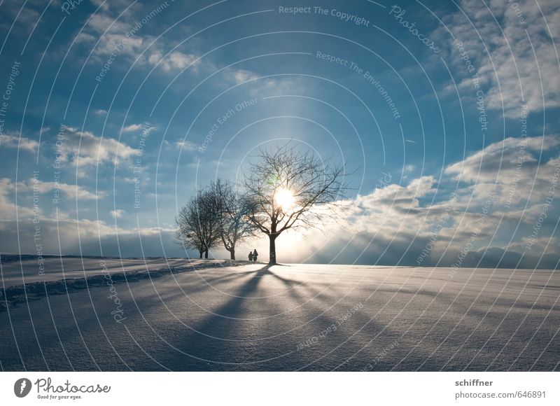 Tschüss Winter Mensch Paar Partner 2 Umwelt Natur Landschaft Himmel Wolken Sonne Klima Schönes Wetter Eis Frost Schnee Pflanze Baum Hügel kalt Gefühle