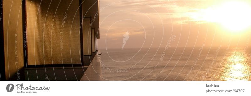 Salvador Gezwitscher Salvador de Bahia Sonnenuntergang Sonnenaufgang Meer Atlantik ruhig Ferien & Urlaub & Reisen Vogel Licht Küste Morgen Panorama (Aussicht)