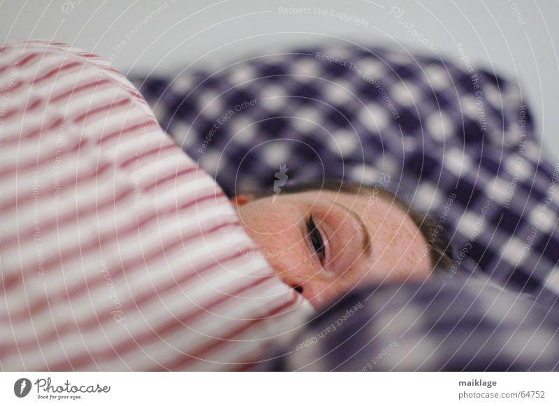 doch müde Frau Junge Frau Bett schlafen Nacht Kissen Streifen kariert Gesicht Müdigkeit Kopfkissen