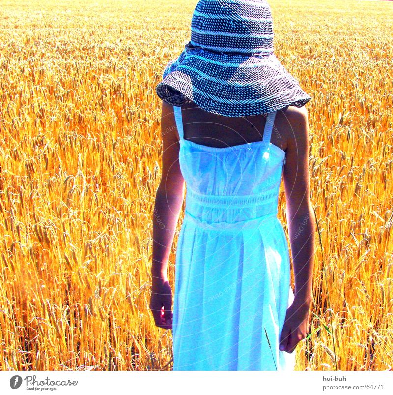frau im kornfeld Kleid Mädchen gelb weiß braun Feld Weizen Physik Mittag Licht kopflos Hand Finger Hut Mensch Ferne dehmut Sonne Wärme Arme Bauch Sommer
