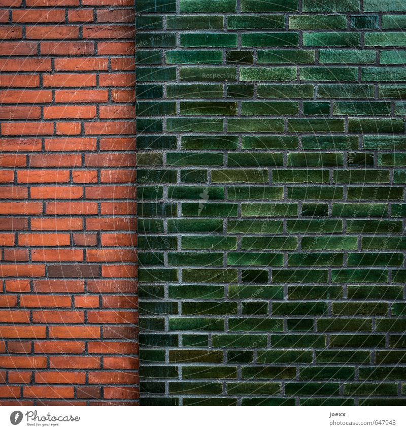 Mehrheit Mauer Wand Fassade ästhetisch historisch lang braun grün rot Netzwerk Backstein Fuge Farbfoto Außenaufnahme Detailaufnahme Muster Menschenleer Tag