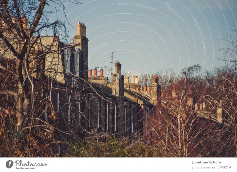 Edinburgh XVI Schottland Großbritannien Englisch Stadt Stadtrand bevölkert Haus ästhetisch Schornstein Dach Häuserzeile Häusliches Leben Baum Natur bewachsen