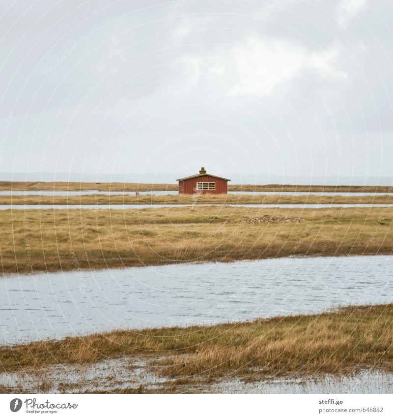 home is where your heart is. Ferien & Urlaub & Reisen Tourismus Ausflug Ferne Freiheit Haus Traumhaus Wasser schlechtes Wetter Fjord Dänemark Menschenleer