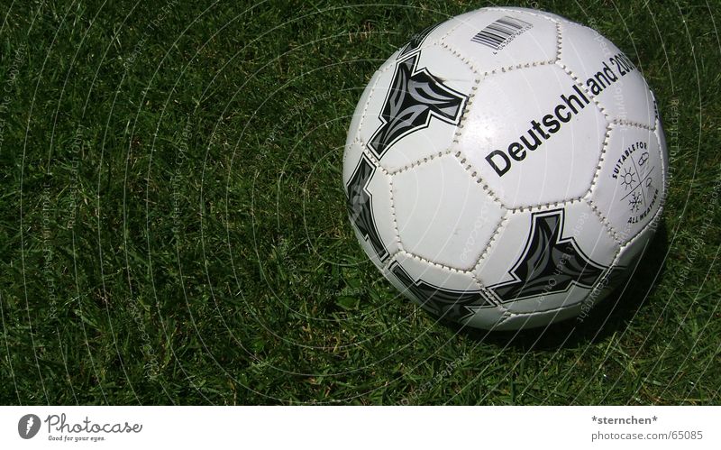Fertig zum Abschuss! rund weiß schwarz grün Fußball Ball Rasen liegen 1 Textfreiraum links Deutschland nah Menschenleer Farbfoto
