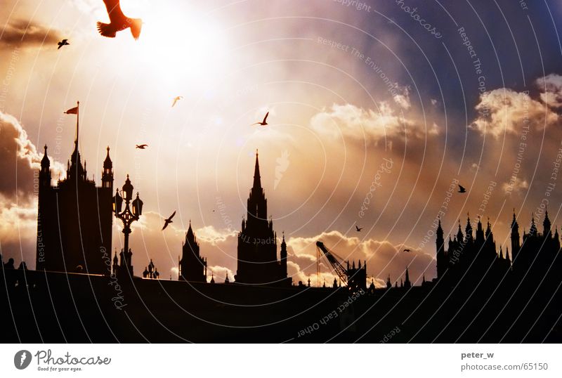 London Vogel Himmel Wolken Stadt Brücke Ferien & Urlaub & Reisen Großbritannien Europa Romantik Gebäude Sonnenaufgang Sonnenuntergang Hauptstadt Big Ben