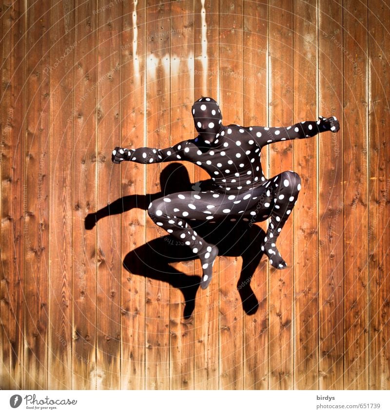 Jumping Jack Frog Stil Freude Ausdruckstänzer maskulin androgyn Körper 1 Mensch 18-30 Jahre Jugendliche Erwachsene Holzwand Cat Suit springen Tanzen ästhetisch
