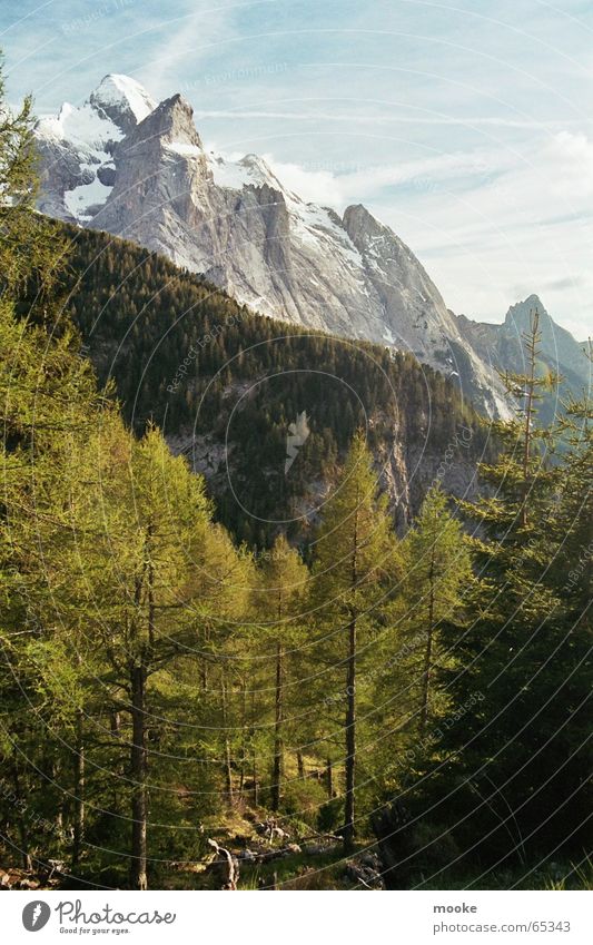 Dolomiten Wald weiß grau grün Berge u. Gebirge Felsen Schnee blau