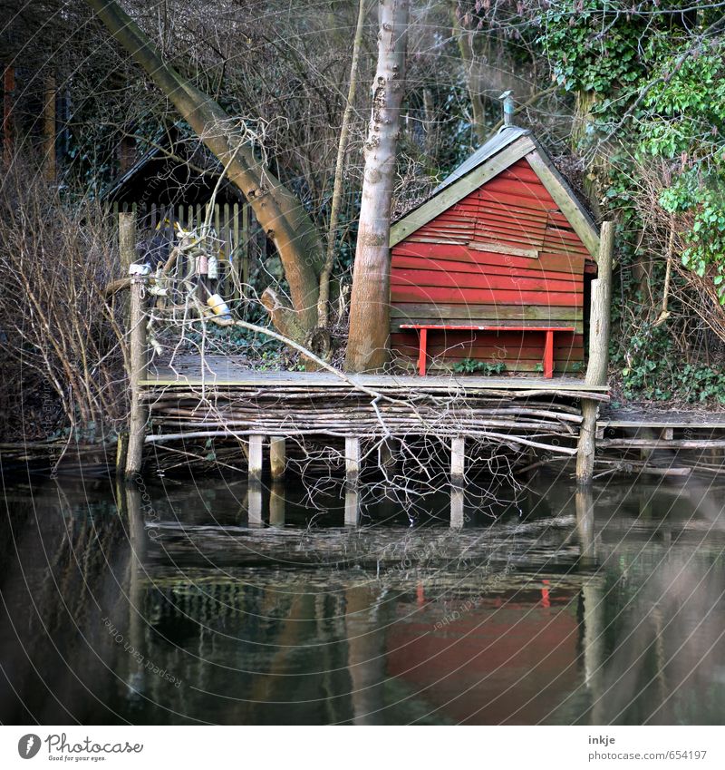 Am Ufer des Flusses, hinter den Feldern der Stadt,da lebte einst Umwelt Natur Herbst Baum Sträucher Wald Flussufer Menschenleer Haus Hütte Steg Bootshaus