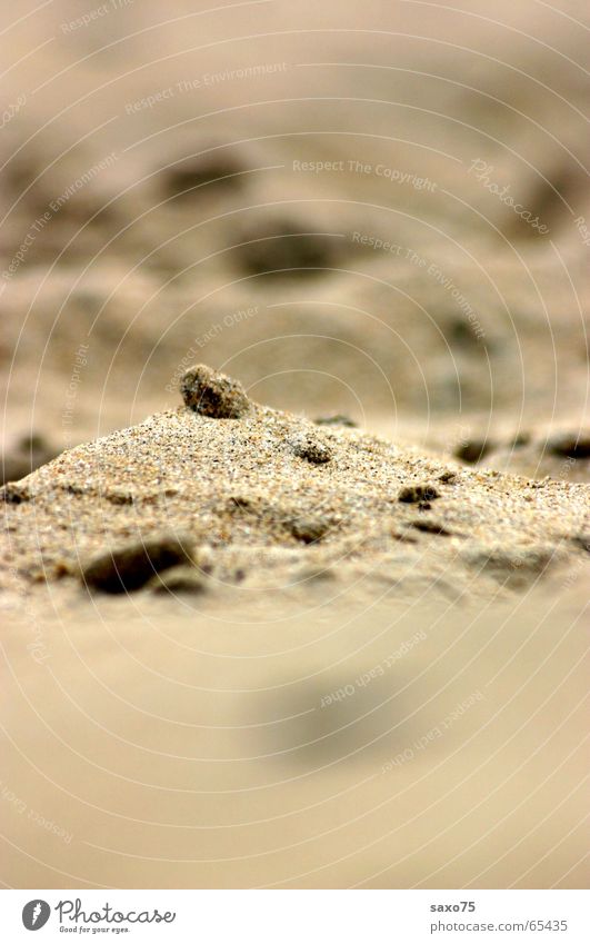 Sandlandschaften Strand Meer Sandkorn braun Landschaft Wüste
