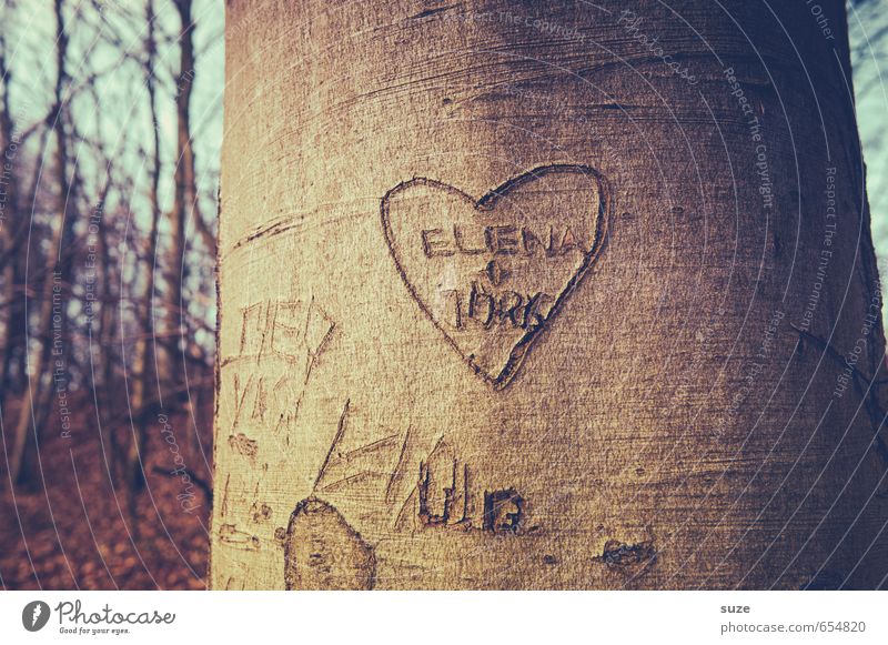 E+J=<3 Freizeit & Hobby Dekoration & Verzierung Paar Umwelt Natur Baum Wald Zeichen Schilder & Markierungen Herz Liebe Zusammensein klein natürlich braun