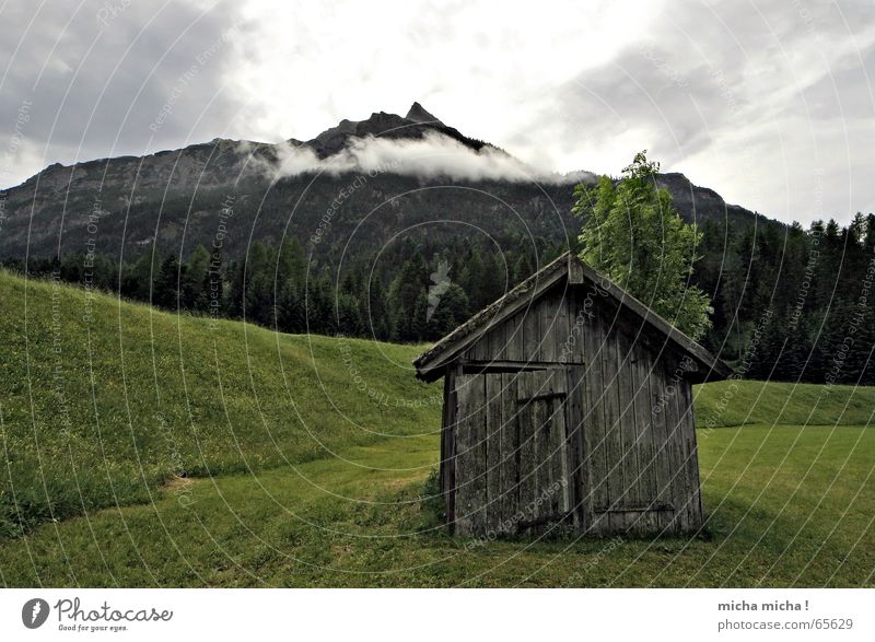 Die Hütte Wiese Bundesland Tirol Wolken Nebel Wald Baum ruhig Berge u. Gebirge Wetter