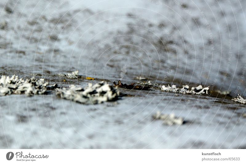 ....... Trabbi vergessen Dach rund hell-blau Sediment grau schwarz Unschärfe DDR alt schäbig auseinanderfallen spuren der zeit Einsamkeit zurückgelassen abwärts