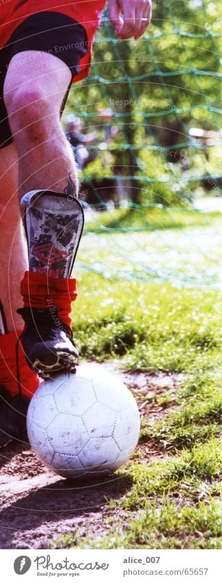 starke beine weiß rot grün Knieschoner Stulpe Fußballschuhe Schuhe Beine Ball Sport alice Rasen amateurfußball Schönes Wetter Freude Netz