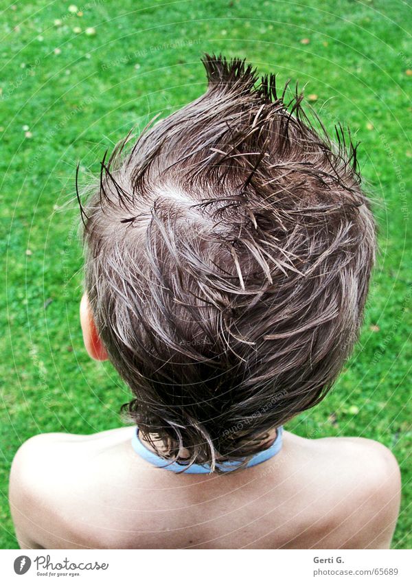 undercover Bengel II Gras grün Wiese Junge Haare & Frisuren Irokesen-Schnitt Gel Schulter Rückansicht Kind Mensch Ohr ohne gießkanne unsinn machen Garten