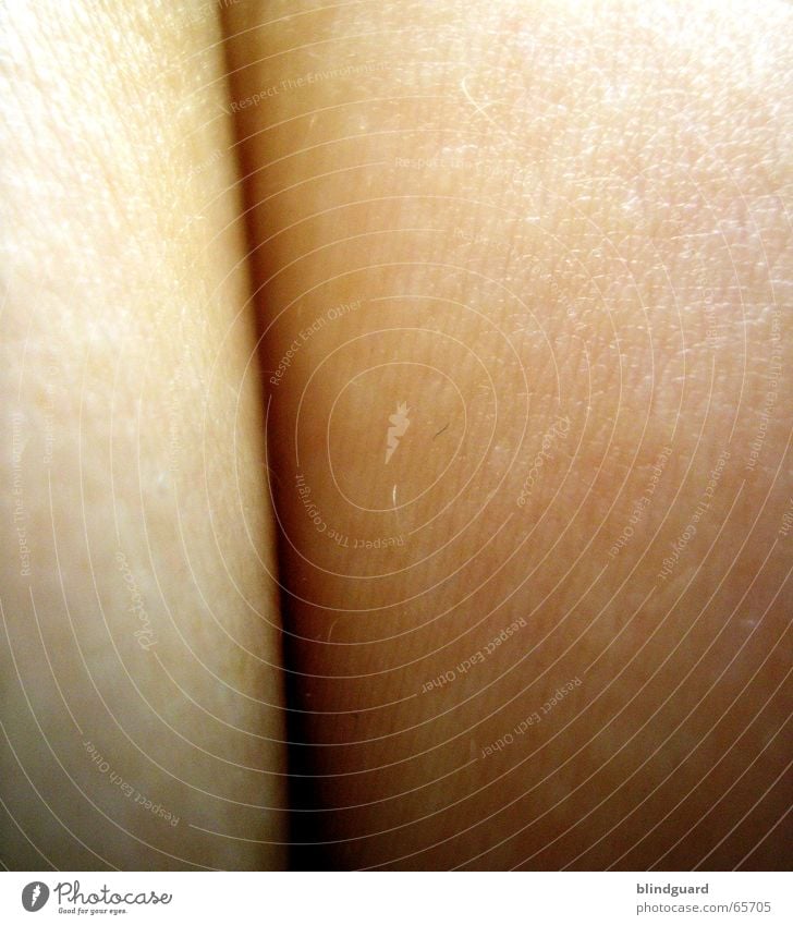 Visual Lies Furche Schlitz nackt zart sensibel berühren wo wann wie Haut Spalte skin naked naggisch verletztlich wer Haare & Frisuren smooth Falte