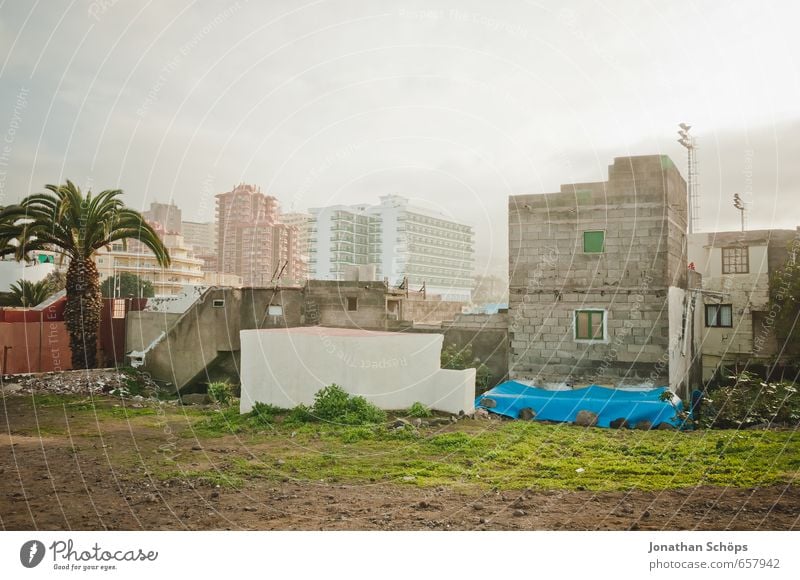 Puerto de la Cruz / Teneriffa V Pflanze Gras Kanaren Spanien Stadt Hafenstadt Stadtzentrum Skyline bevölkert überbevölkert Haus Einfamilienhaus Hochhaus Bauwerk