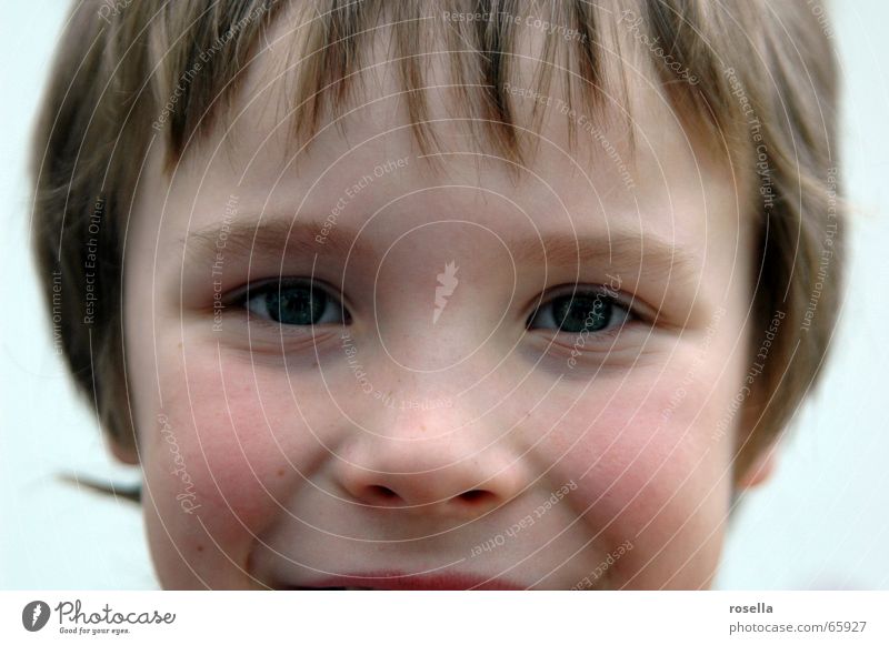 ...strahlendes Glück Kindergesicht Kinderportrait Kindernase Freundlichkeit Porträt Kinderaugen Freude Auge Gesicht Nase lachen Mensch