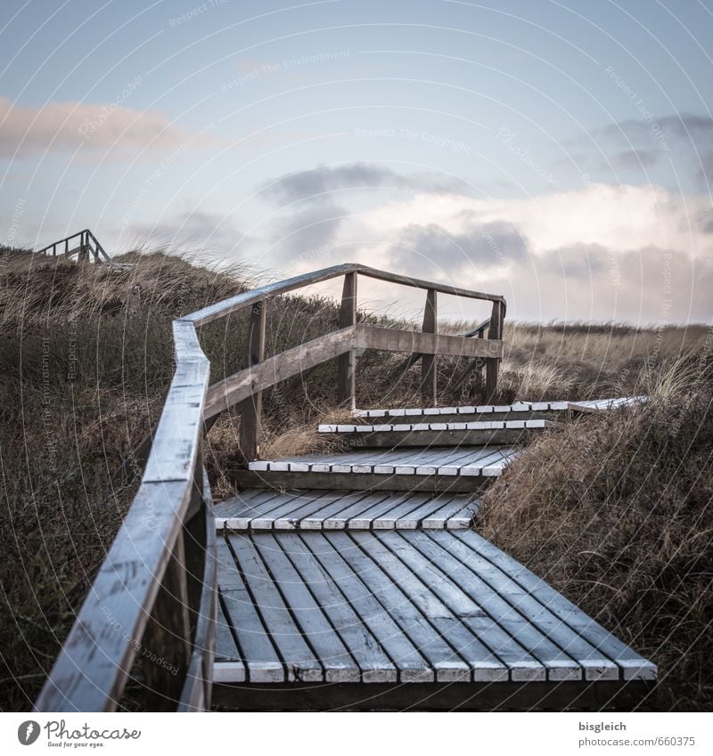 Sylt XV Ferien & Urlaub & Reisen Strand Meer Insel Umwelt Natur Landschaft Himmel Gras Nordsee Deutschland Europa Treppe Treppengeländer Holz blau braun grau