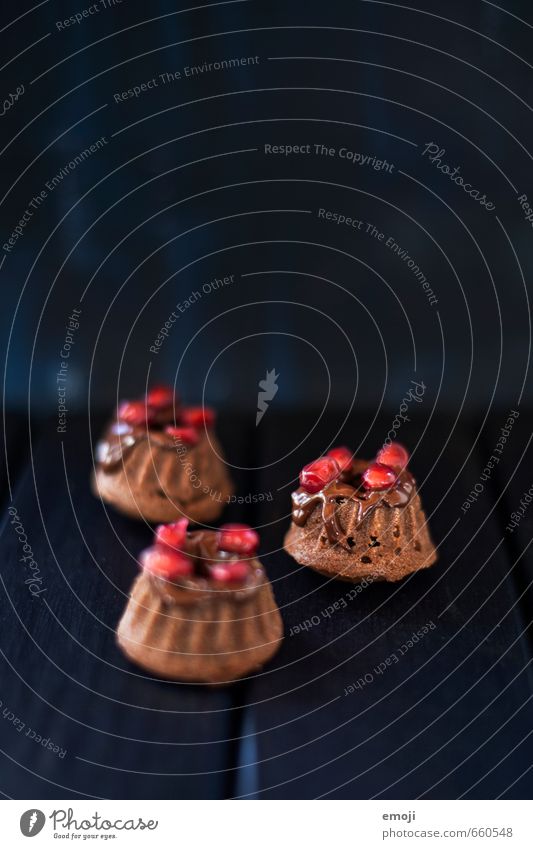 Schoko Kuchen Dessert Süßwaren Schokolade Ernährung Fingerfood lecker süß Gugelhupf 3 Farbfoto Innenaufnahme Studioaufnahme Nahaufnahme Menschenleer