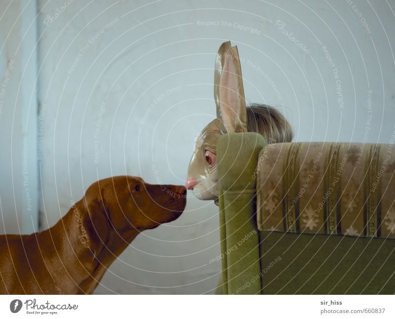 STUDIO TOUR | Begegnung Gesicht 2 Mensch Hund Hase & Kaninchen Tier Küssen Blick lustig trashig braun grün Tierliebe Verliebtheit Leben Tabubruch Überraschung
