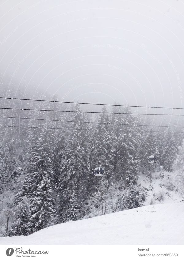 Gondelchen Umwelt Natur Landschaft Pflanze Urelemente Wolken Winter Wetter Nebel Eis Frost Schnee Schneefall Baum Fichte Tanne Fichtenwald Skipiste Gondellift