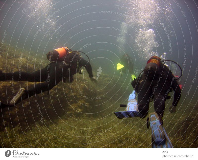 Mallorca - Party Unterwasser tauchen Taucher Tauchgerät Luftblase Algen grün diver diving Unterwasseraufnahme underwater buddy bubbles Schwimmhilfe fins blau