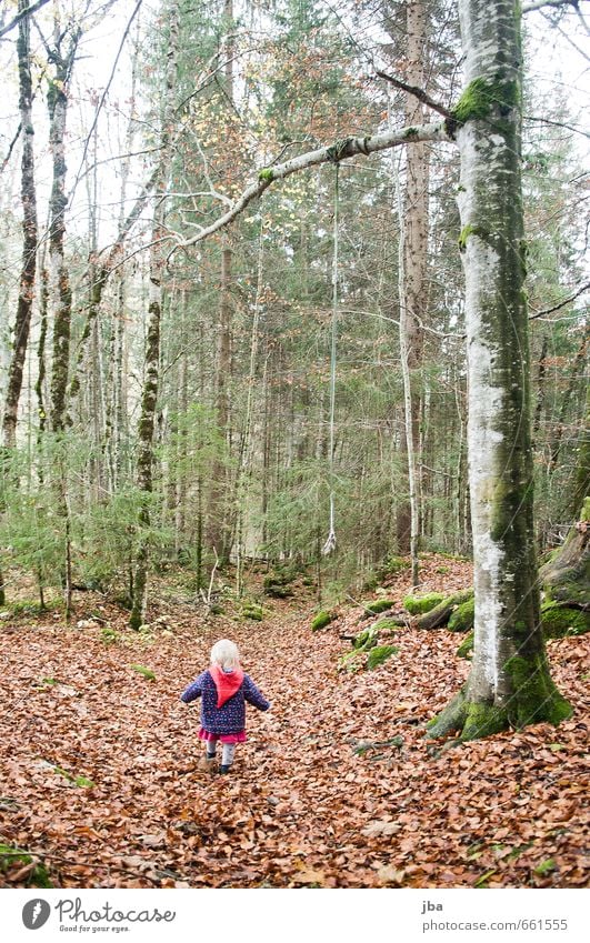 spatziergang im Wald Leben Abenteuer wandern Kindererziehung feminin Kleinkind Mädchen Kindheit 1 Mensch 1-3 Jahre Natur Pflanze Herbst Nebel Baum Blatt