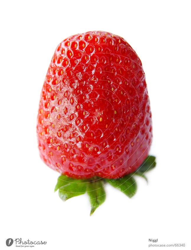 Erdbeere II Lebensmittel rot Vitamin Gesundheit lecker süß Sommer Ernährung Frucht Freisteller Erdbeeren Makroaufnahme niggl