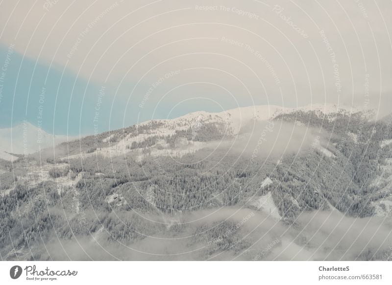Nebelschwaden II Landschaft Wolken Schönes Wetter Schnee Wald Hügel Alpen Gipfel Schneebedeckte Gipfel wandern warten Unendlichkeit blau ruhig kalt Österreich
