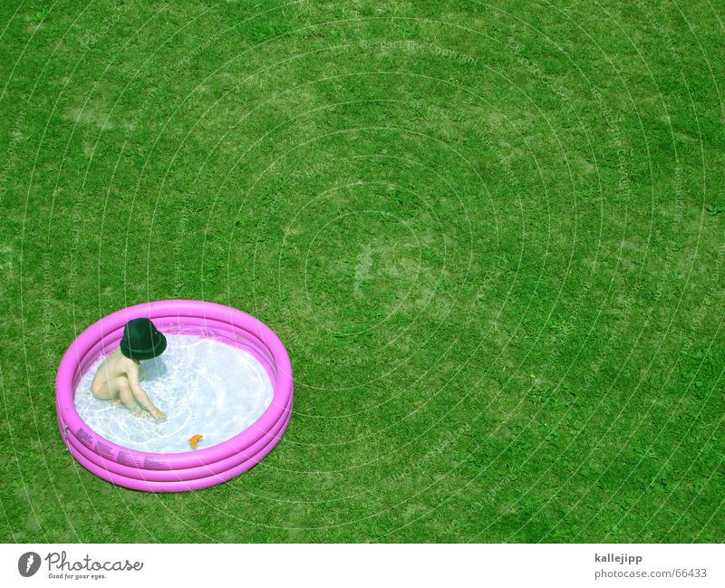 alle meine entchen Ferien & Urlaub & Reisen Freizeit & Hobby Physik Erfrischung Kind Spielen UFO Rasen plantschbecken Wärme Garten poolparty Feste & Feiern