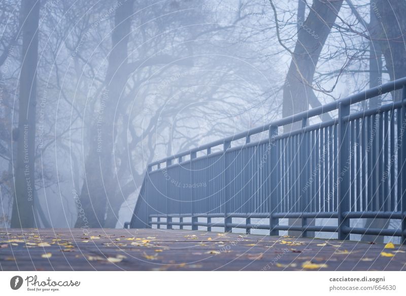 Ein Herbstmorgen Umwelt Nebel Park Brückengeländer Wege & Pfade außergewöhnlich bedrohlich dunkel gruselig kalt trist blau grau schwarz Langeweile Traurigkeit