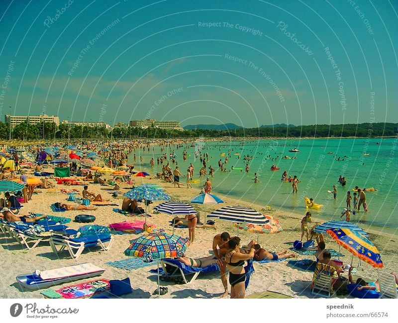 Schönen Urlaub noch ...  II See antörnen aufgeilen Sommerloch Luftmatratze drücken Tourist Strand Meer Sardinen Sonnenschirm heiß Ferien & Urlaub & Reisen