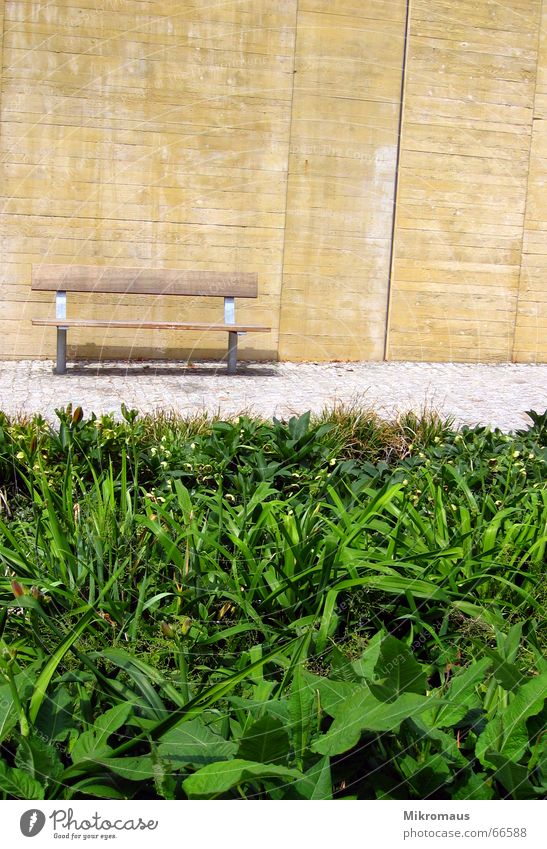 Eine Bank Wand Mauer Einsamkeit Stein Erholung sitzen Pflanze grün Wege & Pfade Sommer Pause Rastplatz Verkehrswege Möbel