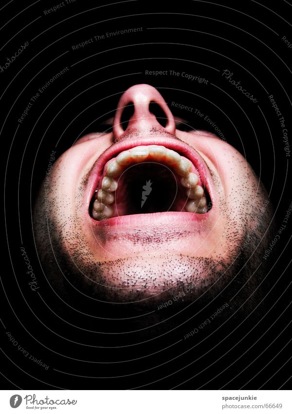 the monkeys shout (2) Mann Freak Angst beängstigend schreien dunkel schwarz Zähne zeigen böse verrückt Mensch Gesicht Gewalt
