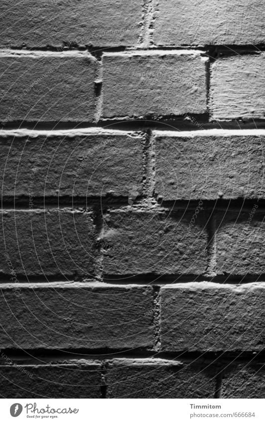 Licht und Schatten. Häusliches Leben Haus Mauer Wand Backstein Fuge Linie ästhetisch eckig einfach grau schwarz weiß Gefühle Vertrauen Schwarzweißfoto