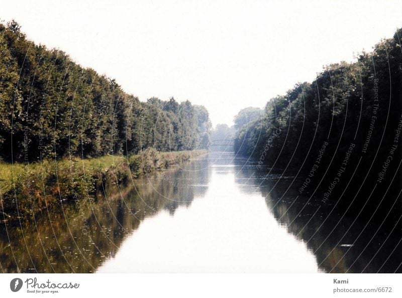 Flusslandschaft geheimnisvoll Stimmung Reflexion & Spiegelung Nebel Baum geheimnissvoll Abwasserkanal Wasser