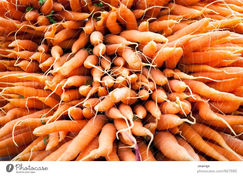 EAT THIS! Lebensmittel Gemüse Möhre Ernährung Bioprodukte Vegetarische Ernährung Gesundheit frisch lecker viele orange Perspektive Vitamin C vitaminreich