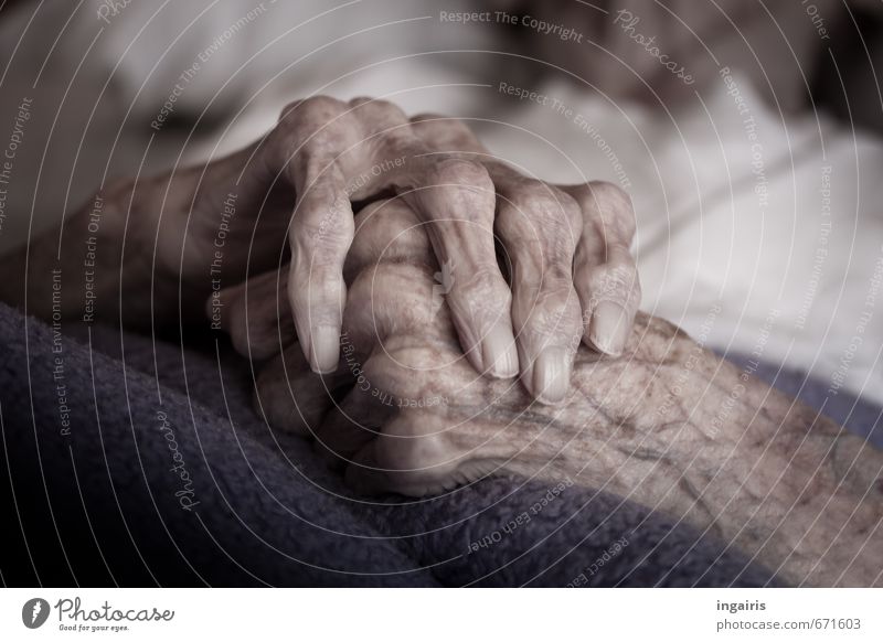 Hunderteins Seniorenpflege Krankenpflege Krankheit Weiblicher Senior Frau Großmutter Arme Hand Finger 1 Mensch 60 und älter alt liegen warten violett weiß