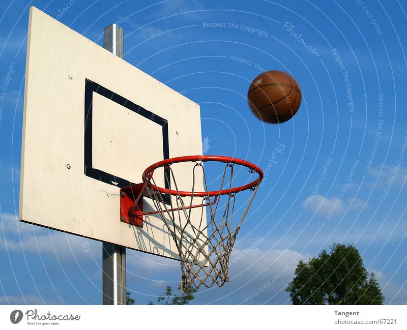 Der ist drin! oder? Sport Ballsport Sportveranstaltung Himmel Netz Bewegung fliegen werfen Erfolg Ziel Korb Treffer Basketball Außenaufnahme Menschenleer