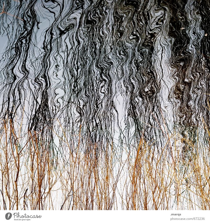 Le Frisur elegant Stil Natur Urelemente Wasser Sträucher außergewöhnlich nass Stimmung ästhetisch Surrealismus Irritation Wellenlinie Hintergrundbild Farbfoto