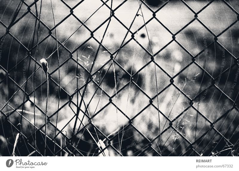 sieben Zaun schwarz weiß Gedanke gefangen Garten Gefühle Denken grass Einsamkeit