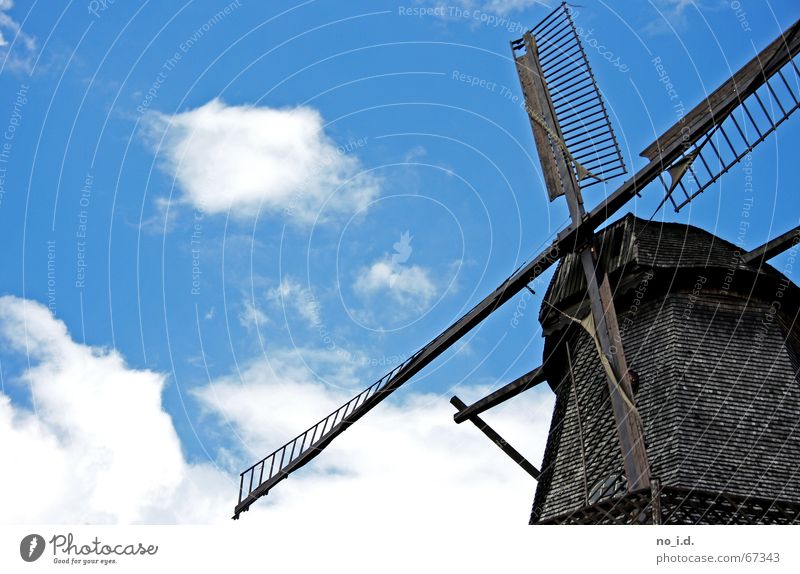 Zum Gedenken An Don Quichotte Mühle Windmühle historisch Holz zerkleinern Altertum Handwerk Außenaufnahme drehen Potsdam alt vergangene zeit Himmel