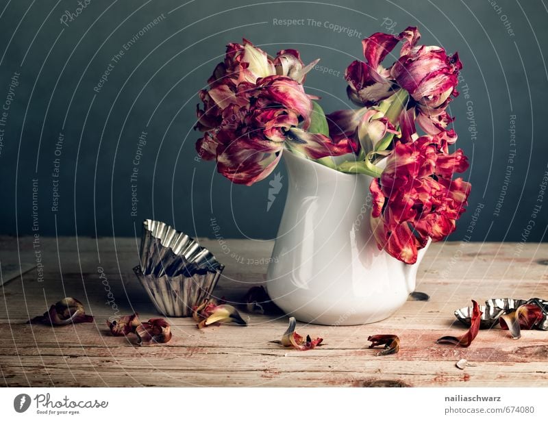 Stillleben mit Tulpen Vase Backform Blume Blumenstrauß Tisch Holz Glas Metall verblüht dehydrieren retro schön trocken mehrfarbig grau rot Romantik ästhetisch